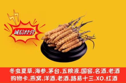 浦江县名酒回收冬虫夏草.jpg